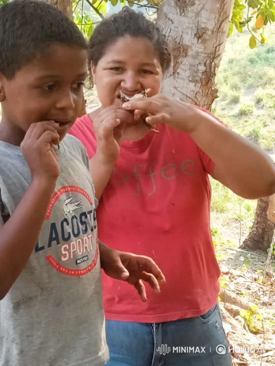 Outdoor Meal: Woman and Boy Enjoying Food in Nature – AI Generated Video | Hailuo AI