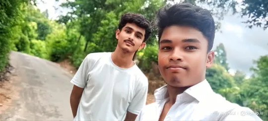 Young Couples Enjoy Scenic Stroll Through Forest – AI Generated Video | Hailuo AI