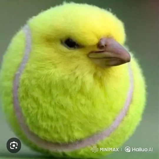 Tennis Ball Birds Fleeing Tsunami in Whimsical Animation – AI Generated Video | Hailuo AI