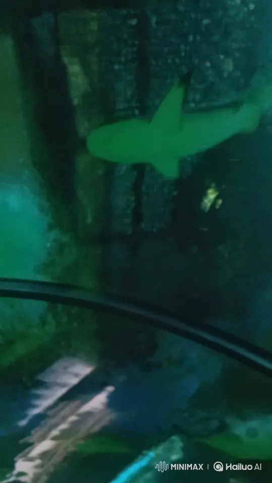 Aquarium Shark Breaches Tank, Attacks Visitors – AI Generated Video | Hailuo AI