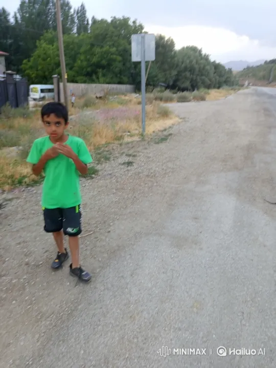 Young Boy Detained by Police Officers on Rural Road – AI Generated Video | Hailuo AI