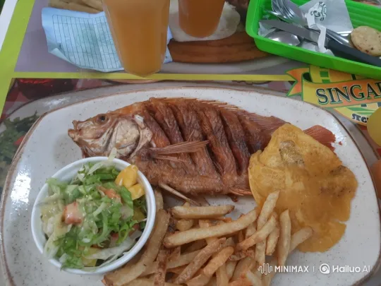 Surreal Animated Fish in a Still Meal Setting – AI Generated Video | Hailuo AI