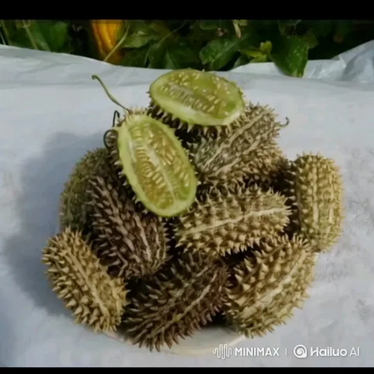 Wild Cucumbers Transform into Flying Creatures – AI Generated Video | Hailuo AI