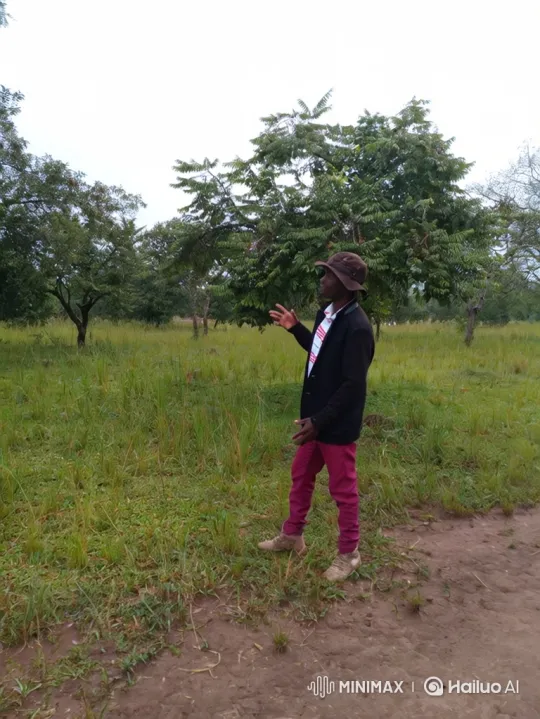 Man Enters Luxury Car on Rural Path – AI Generated Video | Hailuo AI