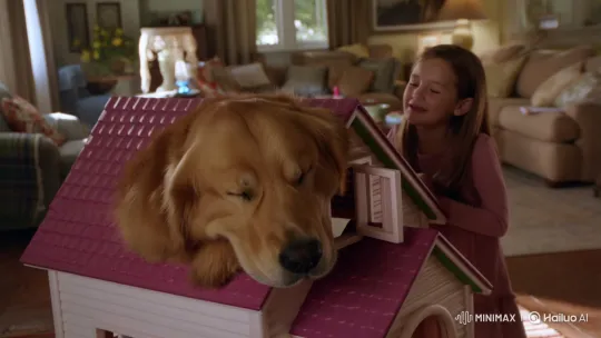Golden Retriever Sleeps Peacefully in Dollhouse – AI Generated Video | Hailuo AI