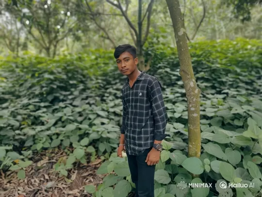 Young Couple Sitting in Serene Forest Setting – AI Generated Video | Hailuo AI