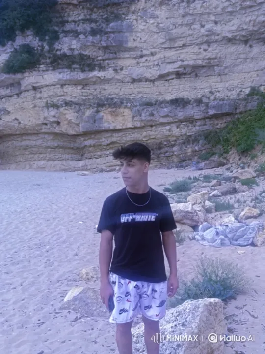 Young Man Detained on Beach by Police – AI Generated Video | Hailuo AI