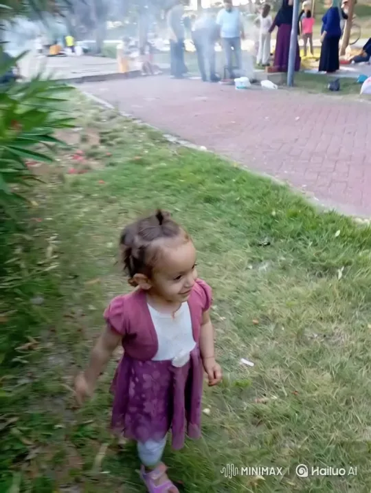 Please provide the content you would like summarized into a concise English title. – AI Generated Video | Hailuo AI