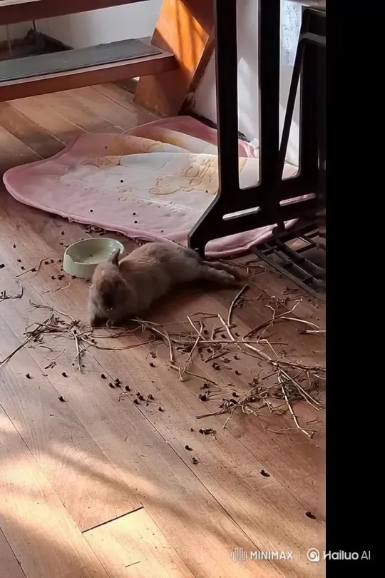 Conejo: A Rabbit's Tale – AI Generated Video | Hailuo AI