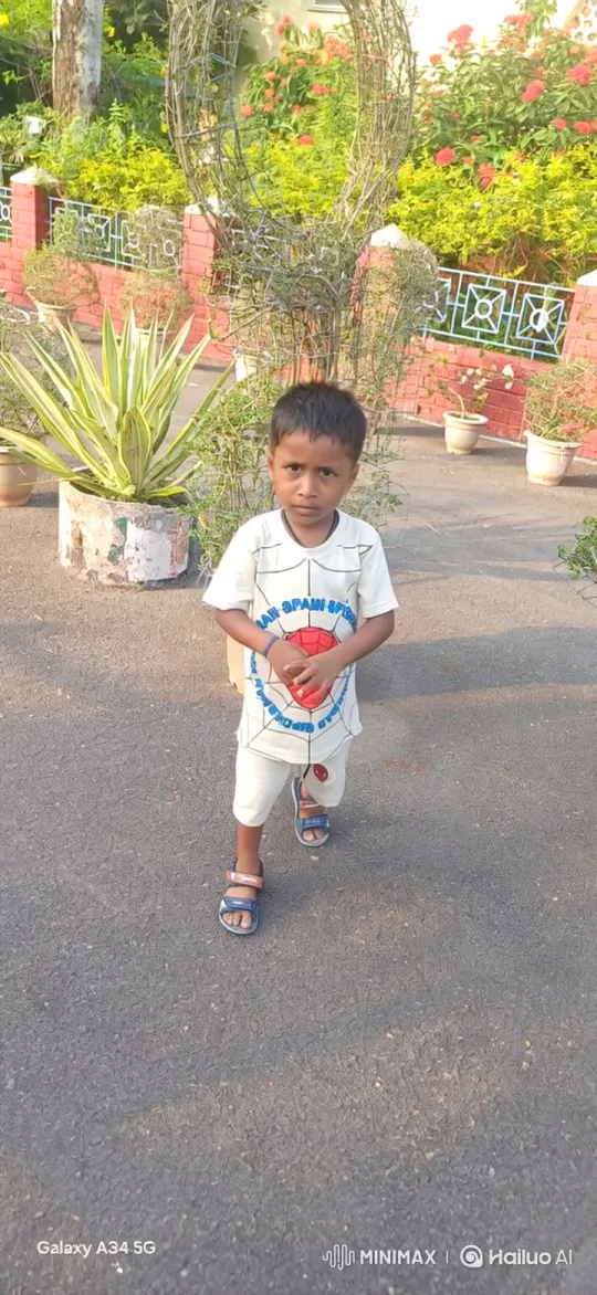 Boy Stands Calmly in Sunlit Garden Amidst Birds' Flight – AI Generated Video | Hailuo AI