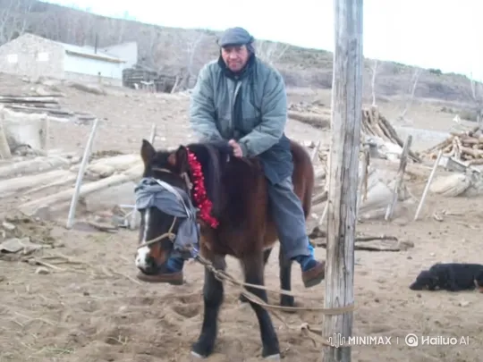 Man Tames Bucking Horse in Dusty Yard – AI Generated Video | Hailuo AI