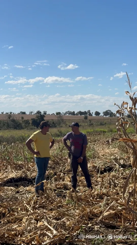 Two Men Share Intimate Kiss in Cornfield – AI Generated Video | Hailuo AI