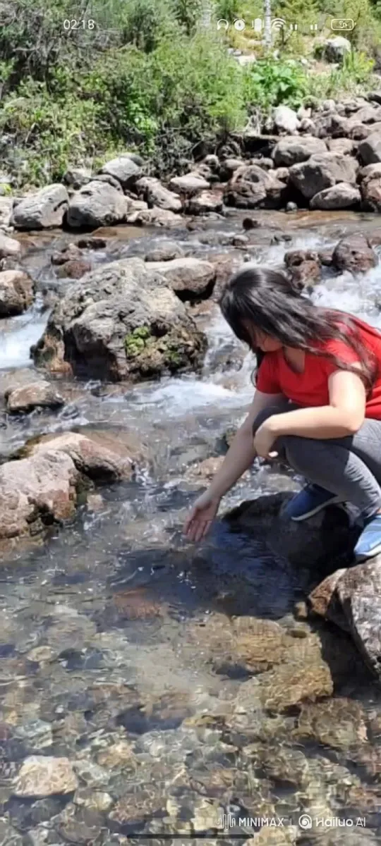 AI Generates Video of Photo Subject Being Taken Away – AI Generated Video | Hailuo AI
