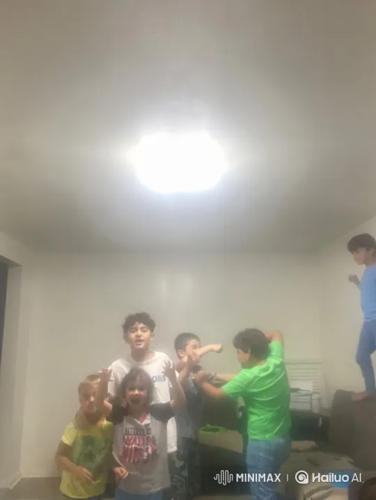 Boys Engage in Energetic Playful Brawl in Bright Room – AI Generated Video | Hailuo AI