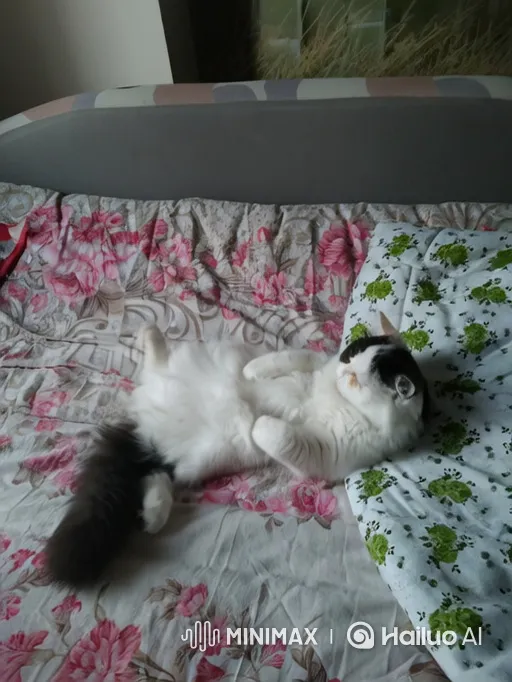 Fluffy Cat Reacts to Mushroom Cloud in Relaxing Bedroom Scene – AI Generated Video | Hailuo AI