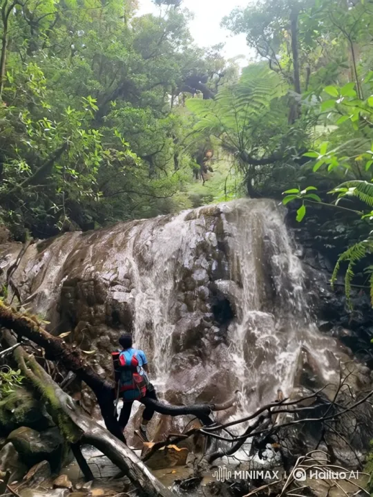 Journey from a Jungle Waterfall to Earth from Space – AI Generated Video | Hailuo AI