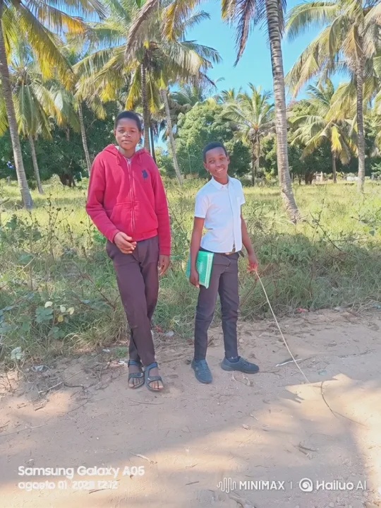 Boys' Fight on Dirt Path with Palm Trees – AI Generated Video | Hailuo AI