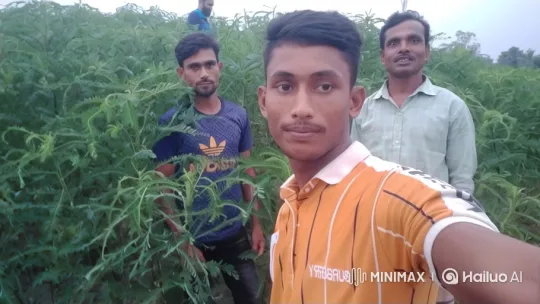 Three Men Pose for a Selfie in a Lush Field – AI Generated Video | Hailuo AI
