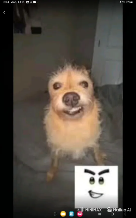 Disturbing Video of Exploding Dog with Cartoon Graphic – AI Generated Video | Hailuo AI